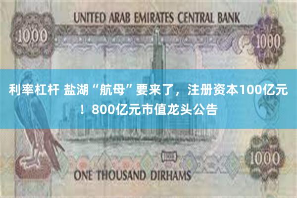 利率杠杆 盐湖“航母”要来了，注册资本100亿元！800亿元市值龙头公告