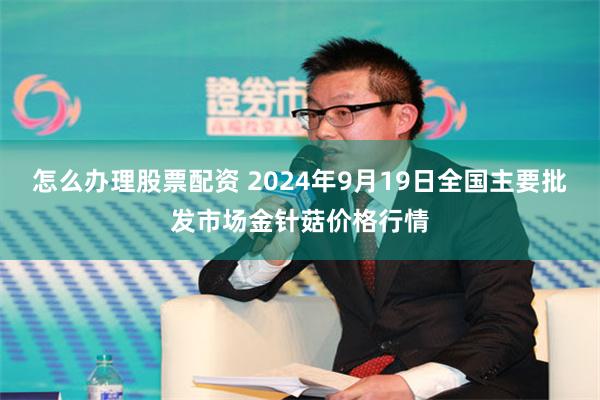 怎么办理股票配资 2024年9月19日全国主要批发市场金针菇价格行情