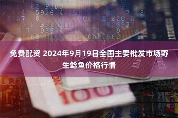 免费配资 2024年9月19日全国主要批发市场野生鲶鱼价格行情