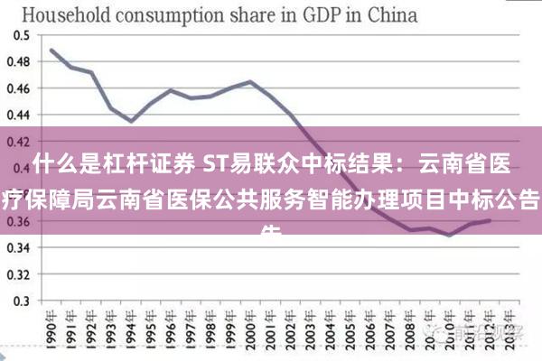 什么是杠杆证券 ST易联众中标结果：云南省医疗保障局云南省医保公共服务智能办理项目中标公告