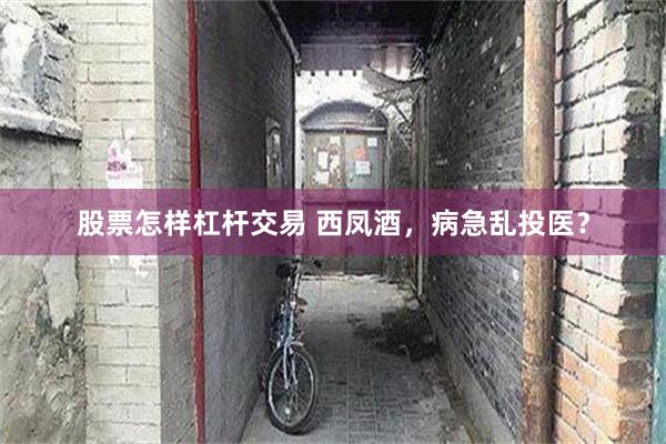 股票怎样杠杆交易 西凤酒，病急乱投医？