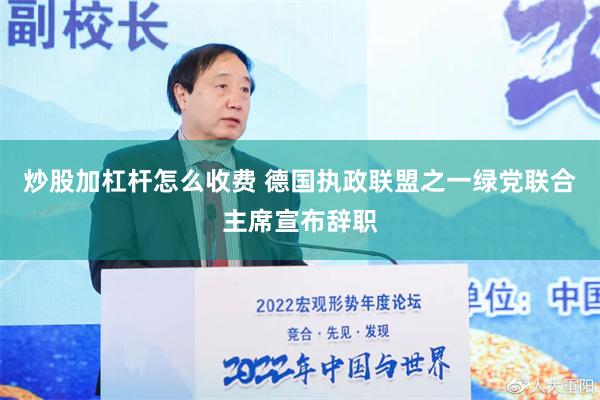 炒股加杠杆怎么收费 德国执政联盟之一绿党联合主席宣布辞职