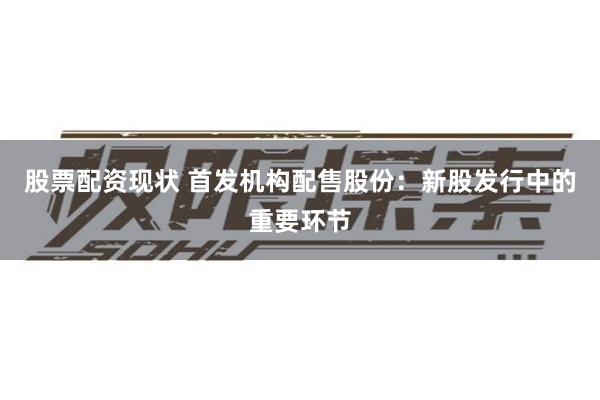 股票配资现状 首发机构配售股份：新股发行中的重要环节