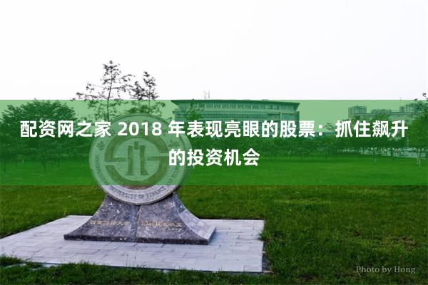 配资网之家 2018 年表现亮眼的股票：抓住飙升的投资机会