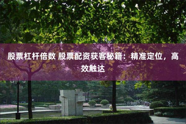 股票杠杆倍数 股票配资获客秘籍：精准定位，高效触达
