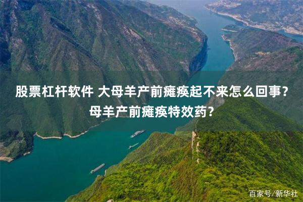 股票杠杆软件 大母羊产前瘫痪起不来怎么回事？母羊产前瘫痪特效药？