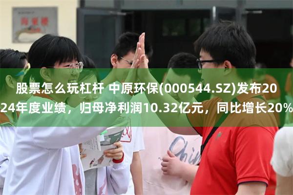 股票怎么玩杠杆 中原环保(000544.SZ)发布2024年度业绩，归母净利润10.32亿元，同比增长20%
