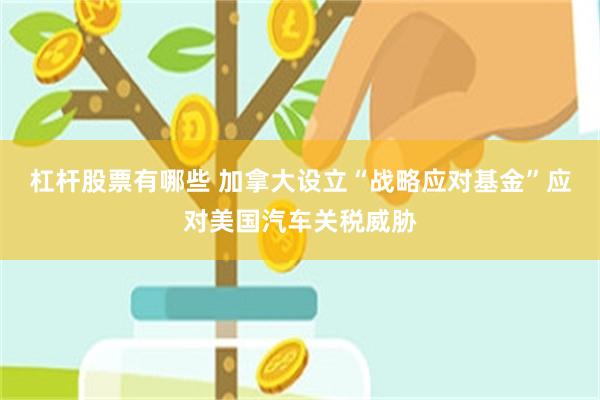 杠杆股票有哪些 加拿大设立“战略应对基金”应对美国汽车关税威胁