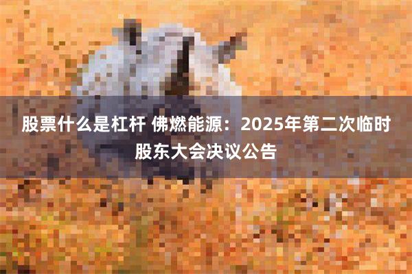 股票什么是杠杆 佛燃能源：2025年第二次临时股东大会决议公告