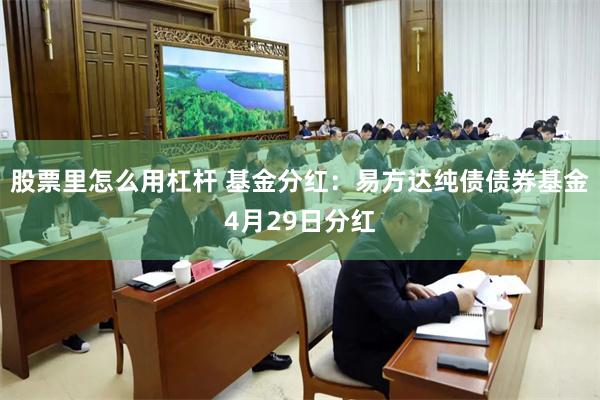股票里怎么用杠杆 基金分红：易方达纯债债券基金4月29日分红