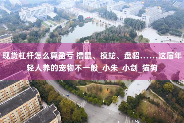 现货杠杆怎么算盈亏 撸鼠、摸蛇、盘貂……这届年轻人养的宠物不一般_小朱_小剑_猫狗