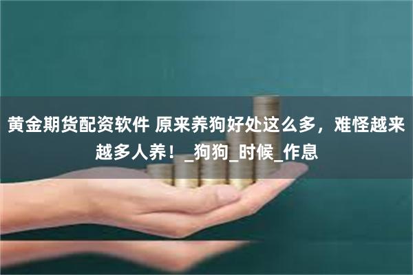 黄金期货配资软件 原来养狗好处这么多，难怪越来越多人养！_狗狗_时候_作息