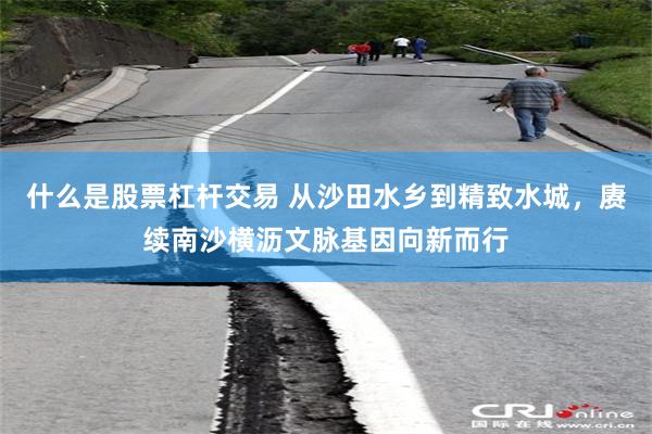 什么是股票杠杆交易 从沙田水乡到精致水城，赓续南沙横沥文脉基因向新而行
