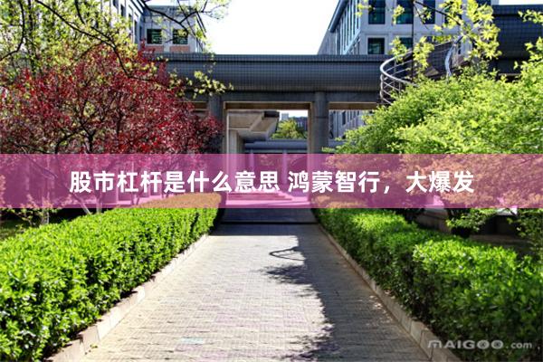 股市杠杆是什么意思 鸿蒙智行，大爆发