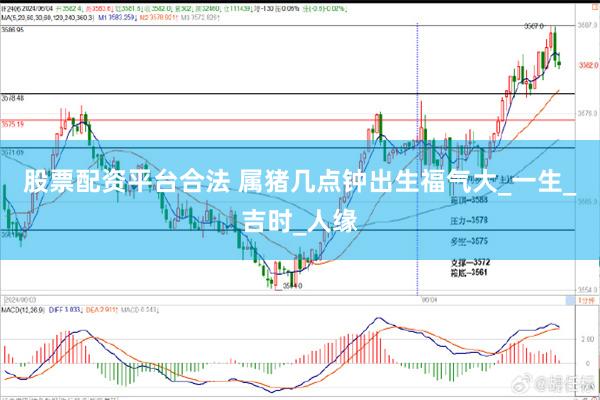 股票配资平台合法 属猪几点钟出生福气大_一生_吉时_人缘