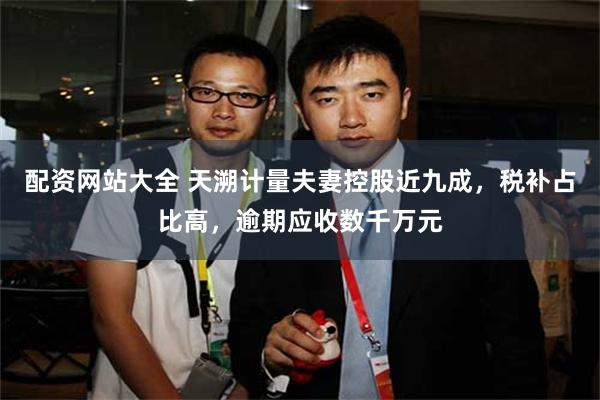 配资网站大全 天溯计量夫妻控股近九成，税补占比高，逾期应收数千万元