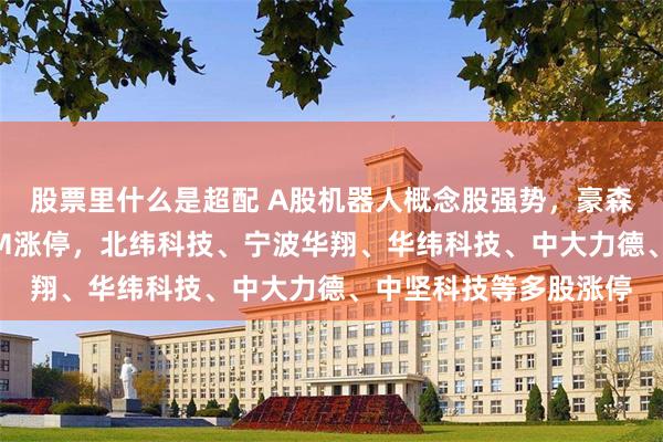 股票里什么是超配 A股机器人概念股强势，豪森智能、国瑞科技20CM涨停，北纬科技、宁波华翔、华纬科技、中大力德、中坚科技等多股涨停