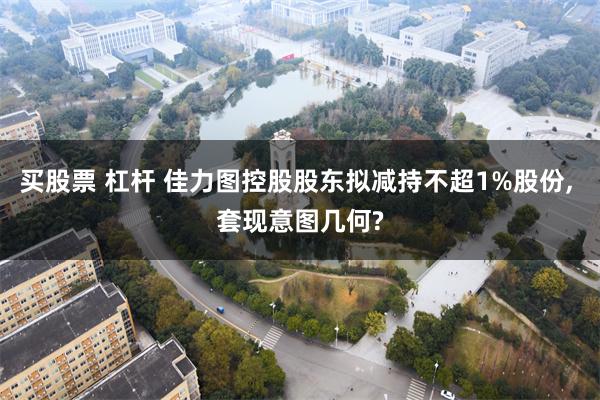 买股票 杠杆 佳力图控股股东拟减持不超1%股份, 套现意图几何?