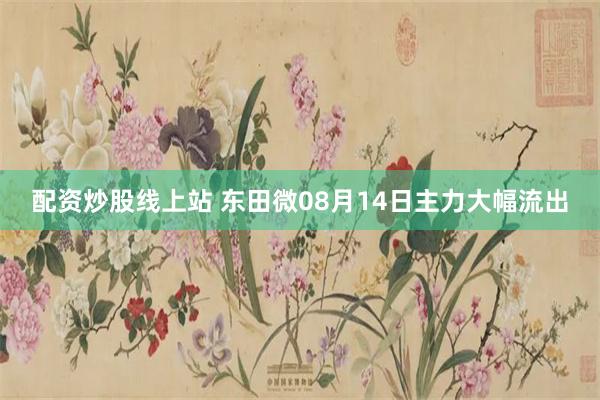配资炒股线上站 东田微08月14日主力大幅流出