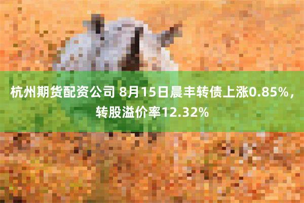 杭州期货配资公司 8月15日晨丰转债上涨0.85%，转股溢价率12.32%